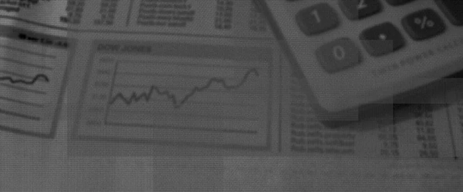Financial analysis charts used in Westernston Holdings business valuation and appraisal process